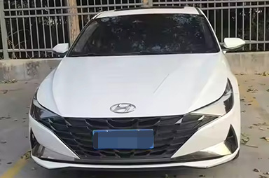 Used Hy Elantra 2021 1.5L Gasoline Car